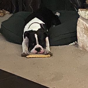 Meet your Posher, Eric